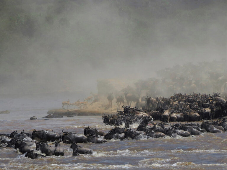 Migration_6582_1